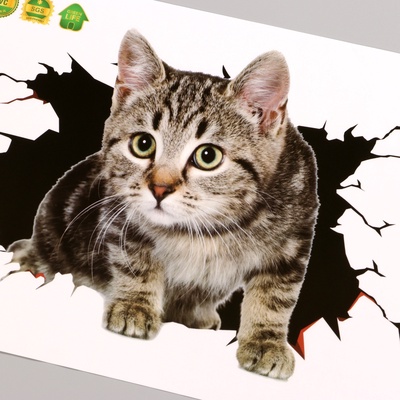 Наклейка интерьерная 3Д TAKE IT EASY «Котик», 30×20 см