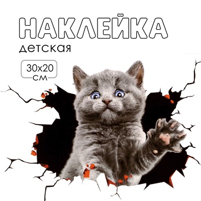 Интерьерная наклейка 3Д TAKE IT EASY «Котик в шоке», 30×20 см