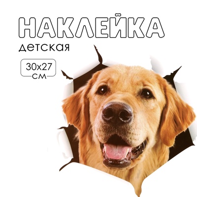 Интерьерная наклейка 3Д TAKE IT EASY «Собака», 30×27 см