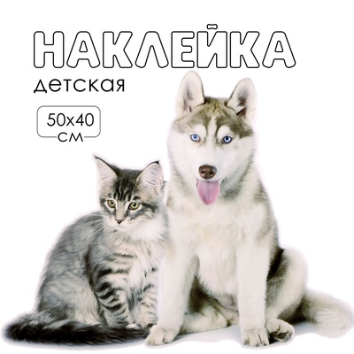 Интерьерная наклейка 3Д TAKE IT EASY «Домашние питомцы: кот и собака», 50×40 см