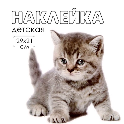 Интерьерная наклейка 3Д TAKE IT EASY «Котик серьёзный», 29×21 см