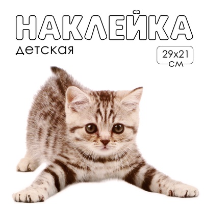 Интерьерная наклейка 3Д TAKE IT EASY «Котик с глазками», 29×21 см