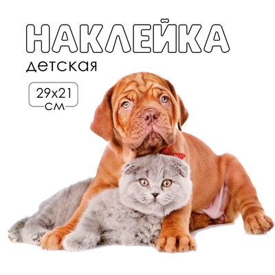 Интерьерная наклейка 3Д TAKE IT EASY «Домашние питомцы дружат», 29×21 см