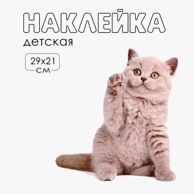 Интерьерная наклейка 3Д TAKE IT EASY «Котик: первый», 29×21 см
