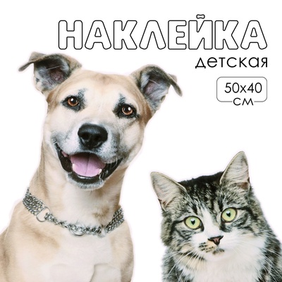 Интерьерная наклейка 3Д TAKE IT EASY «Домашние питомцы рады», 50×40 см