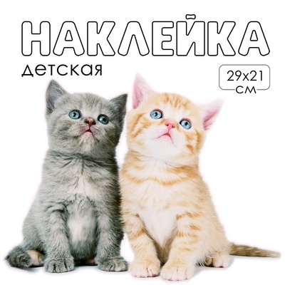 Интерьерная наклейка 3Д TAKE IT EASY «Котики милые», 29×21 см