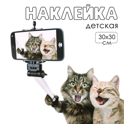 Интерьерная наклейка 3Д TAKE IT EASY «Котики селфятся», 30×30 см