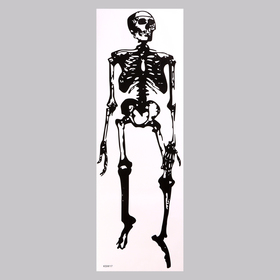 Наклейка 3Д интерьерная Скелет 90*30см