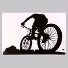 Наклейка 3Д интерьерная Велоспорт 57*40см - фото 320952258