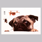 Наклейка 3Д интерьерная Собака 30*20см - фото 320952273