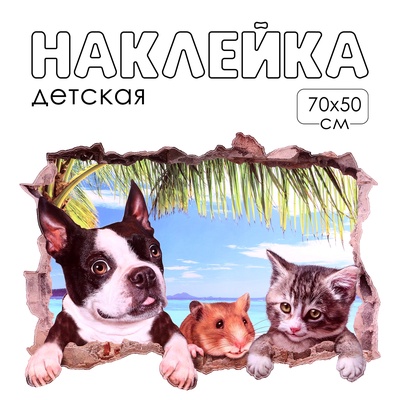 Интерьерная наклейка 3Д TAKE IT EASY «Домашние питомцы из стены», 70×50 см