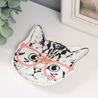 Сувенир керамика подставка под кольца "Котёнок в очках" 1,6х11х12 см - Фото 3