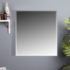 Зеркало-шкаф для ванной комнаты "ЕШЗ- 550" , белый, 55 х 60 х 12 см - Фото 2