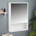 Зеркало-шкаф для ванной комнаты "Эко-45" с нишей, белый, 45 х 66,2 х 12 см - фото 2169697
