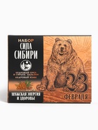 Набор «Сила Сибири»: кедровый орех в сосновом сиропе 25 г., бальзам 100 мл., кедрокофе 50 г. - фото 320953129