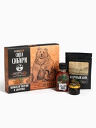 Подарочный набор «Сила Сибири»: кедровый орех в сосновом сиропе 25 г, бальзам 100 мл., кедровый кофе 50 г - Фото 2