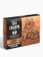 Подарочный набор «Сила Сибири»: кедровый орех в сосновом сиропе 25 г, бальзам 100 мл., кедровый кофе 50 г - Фото 5