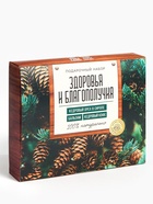 Подарочный набор «Здоровья и благополучия»: кедровый орех в сосновом сиропе 25 г, бальзам 100 мл., кедровый кофе 50 г - Фото 5