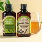 Подарочный набор «Здоровье Алтая»: бальзам безалкогольный, 2 шт. х 250 мл. - фото 23542143