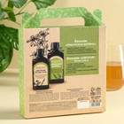 Подарочный набор «Здоровье Алтая»: бальзам безалкогольный, 2 шт. х 250 мл. - фото 23542144