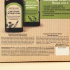 Подарочный набор «Здоровье Алтая»: бальзам безалкогольный, 2 шт. х 250 мл. - фото 23542145