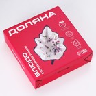 УЦЕНКА Блюдо сервировочное Доляна «Лаванда», 21×15×4,5 см, цвет белый - Фото 7