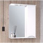 Зеркало-шкаф для ванной комнаты "Афина 60"правый, 16 х 60 х 80 см - Фото 4