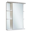 Зеркало-шкаф для ванной комнаты "Гиро 55" правый, 24 х 55 х 75 см - фото 294500648