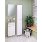 Зеркало-шкаф для ванной комнаты "Лада 40" графит, 12 х 40 х 60 см - Фото 4