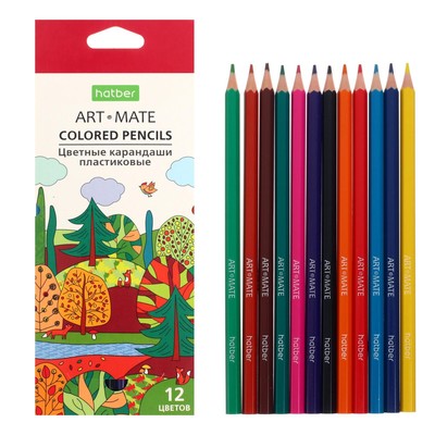 УЦЕНКА Карандаши цветные, 12 цветов, Mate, пластиковые, с европодвесом