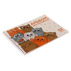 Альбом для рисования А4, 32 листа на гребне "КотоАльбом", обложка мелованный картон, блок офсет 100 г/м² - фото 9958751