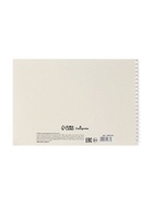 Альбом для рисования А4, 32 листа на гребне «КотоАльбом», обложка мелованный картон, блок офсет 100 г/м? (комплект 3 шт) - фото 47666866