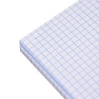 Сменный блок для тетрадей на кольцах А5, 160 листов в клетку, Calligrata - Фото 4