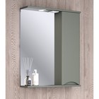 Зеркало-шкаф для ванной комнаты "Афина 60" правый, 16 х 60 х 75 см - фото 300806280