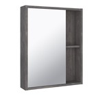 Зеркало-шкаф для ванной комнаты "Эко 52" железный камень, 12 х 52 х 65 см - фото 300806288