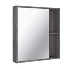 Зеркало-шкаф для ванной комнаты "Эко 60" железный камень, 12 х 60 х 65 см - фото 300806291