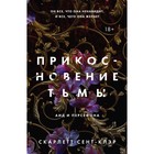 Прикосновение тьмы. Сент-Клэр С. 10291927 - фото 3932107