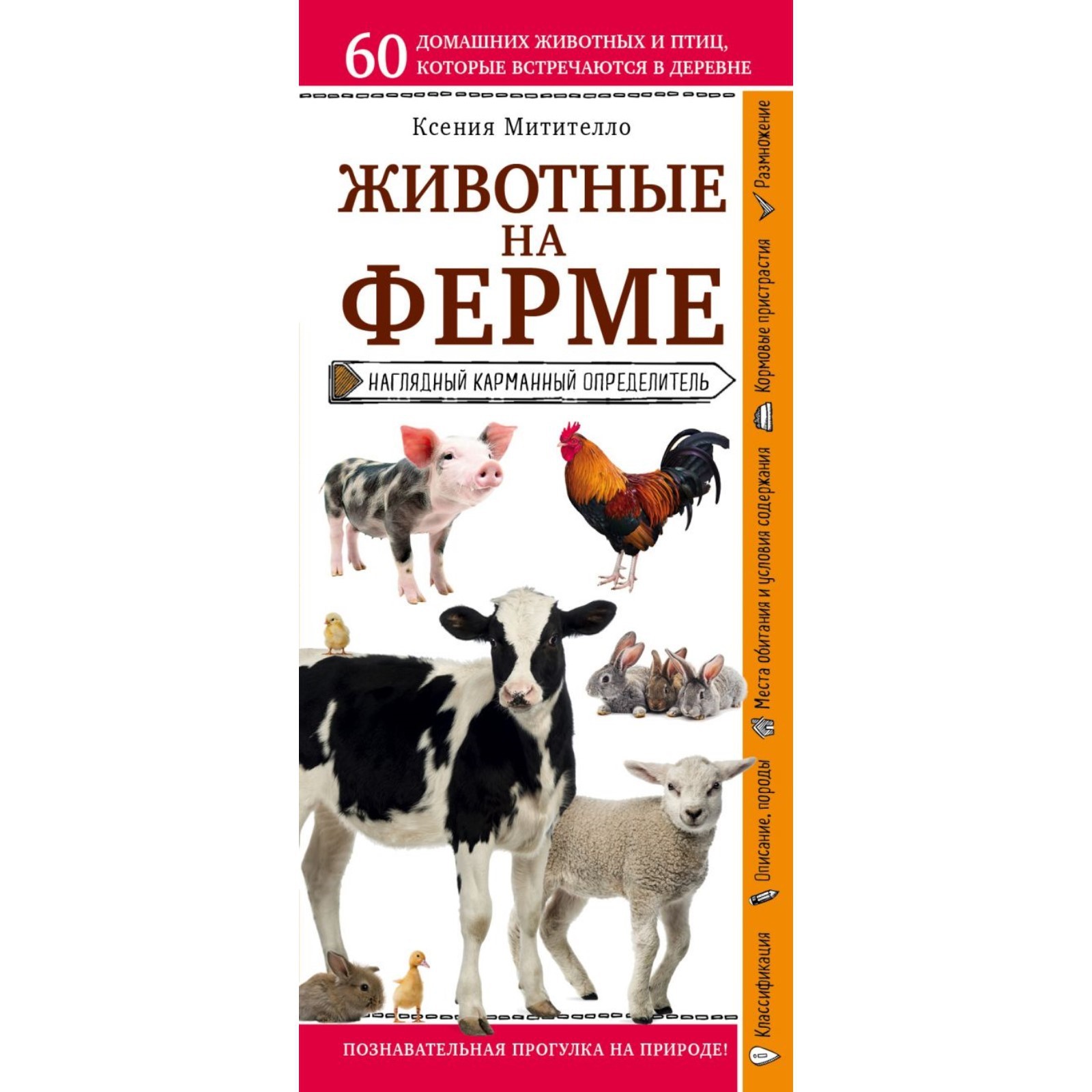 Животные на ферме. Наглядный карманный определитель. Митителло К.  (10292419) - Купить по цене от 207.00 руб. | Интернет магазин SIMA-LAND.RU