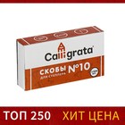 Набор из 10 штук, скобы №10, CALLIGRATA (1000 шт) 127000 - фото 16438350