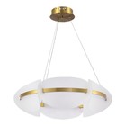 Люстра подвесная St Luce. SL1304.203.45. Etoile. 1х45 Вт, LED, 3000K, 2700 Lm, 60х60х18 см, цвет золотистый - Фото 2