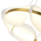 Люстра подвесная St Luce. SL1304.203.45. Etoile. 1х45 Вт, LED, 3000K, 2700 Lm, 60х60х18 см, цвет золотистый - Фото 3