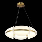 Люстра подвесная St Luce. SL1304.203.45. Etoile. 1х45 Вт, LED, 3000K, 2700 Lm, 60х60х18 см, цвет золотистый - Фото 4