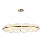 Люстра подвесная St Luce. SL1304.203.65. Etoile. 1х65 Вт, LED, 3000K, 3900 Lm, 100х100х18 см, цвет золотистый 10289029 - фото 313284736