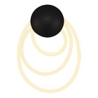 Светильник настенный St Luce. SL6102.411.30. Sagrato. 1х30 Вт, LED, 3000K, 2700 Lm, 35х49 см, цвет чёрный - фото 4202612