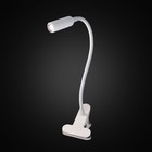 Лампа настольная офисная Citilux «Ньютон» CL803060N 8х27 см, 1х4Вт, LED, цвет белый - Фото 2