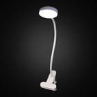 Лампа настольная офисная Citilux «Ньютон» CL803070N 8х27 см, 1х7Вт, LED, цвет белый - Фото 2