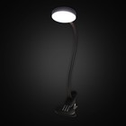 Лампа настольная офисная Citilux «Ньютон» CL803071N 8х27 см, 1х7Вт, LED, цвет черный - Фото 2