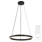 Светильник подвесной Citilux «Дуэт» CL719501, 50х50х17 см, 1х53Вт, LED, цвет черный - фото 4205304