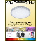 Светильник накладной Citilux «Альпина» CL718A40G, 45х45х10 см, 1х45Вт, LED, цвет белый - Фото 2