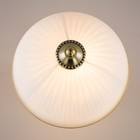 Лампа настольная декоративная Citilux «Адриана» CL405823 22х22х35 см, 1х75Вт, E27, цвет коричневый - Фото 13